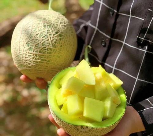 娱乐圈可以吃的大瓜,揭秘明星背后的惊人真相 第2张 娱乐圈可以吃的大瓜,揭秘明星背后的惊人真相 第2张